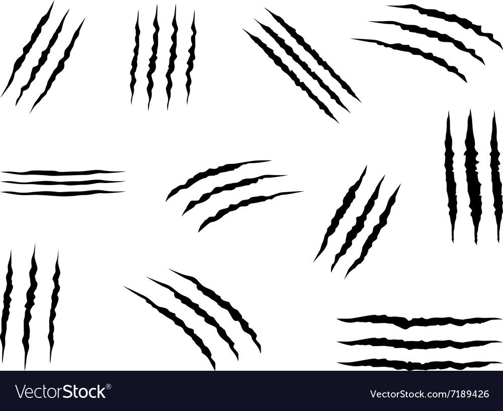 Claws Royalty Free Vector Image - VectorStock