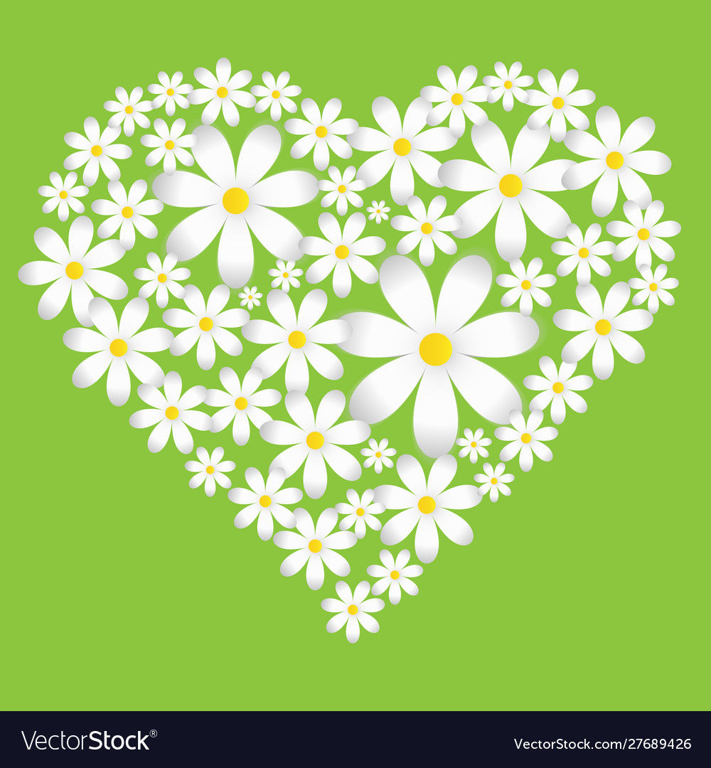 Spring background with camomiles heart made