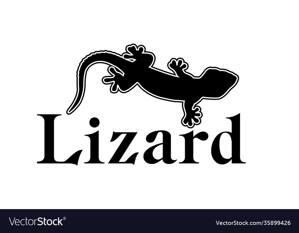 Tropical lizard gecko