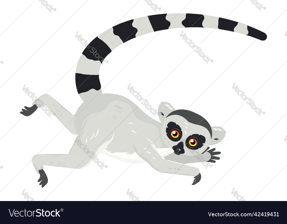 Cartoon lemur catta Royalty Free Vector Image - VectorStock