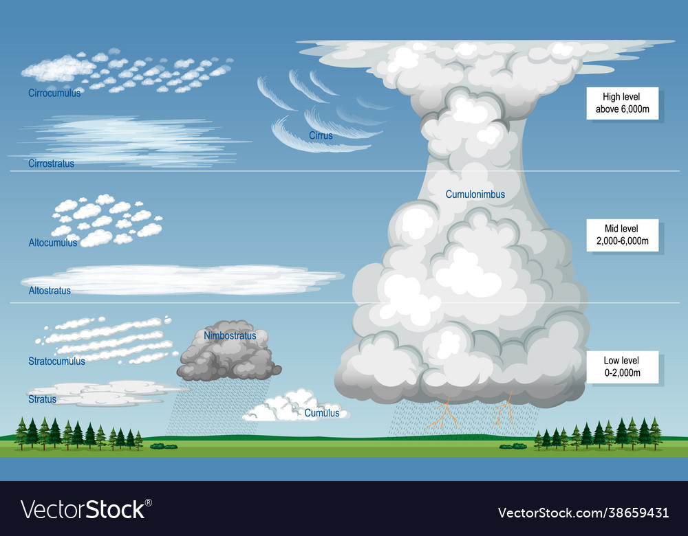 Different types clouds with names and sky Vector Image Different types clouds with names and sky