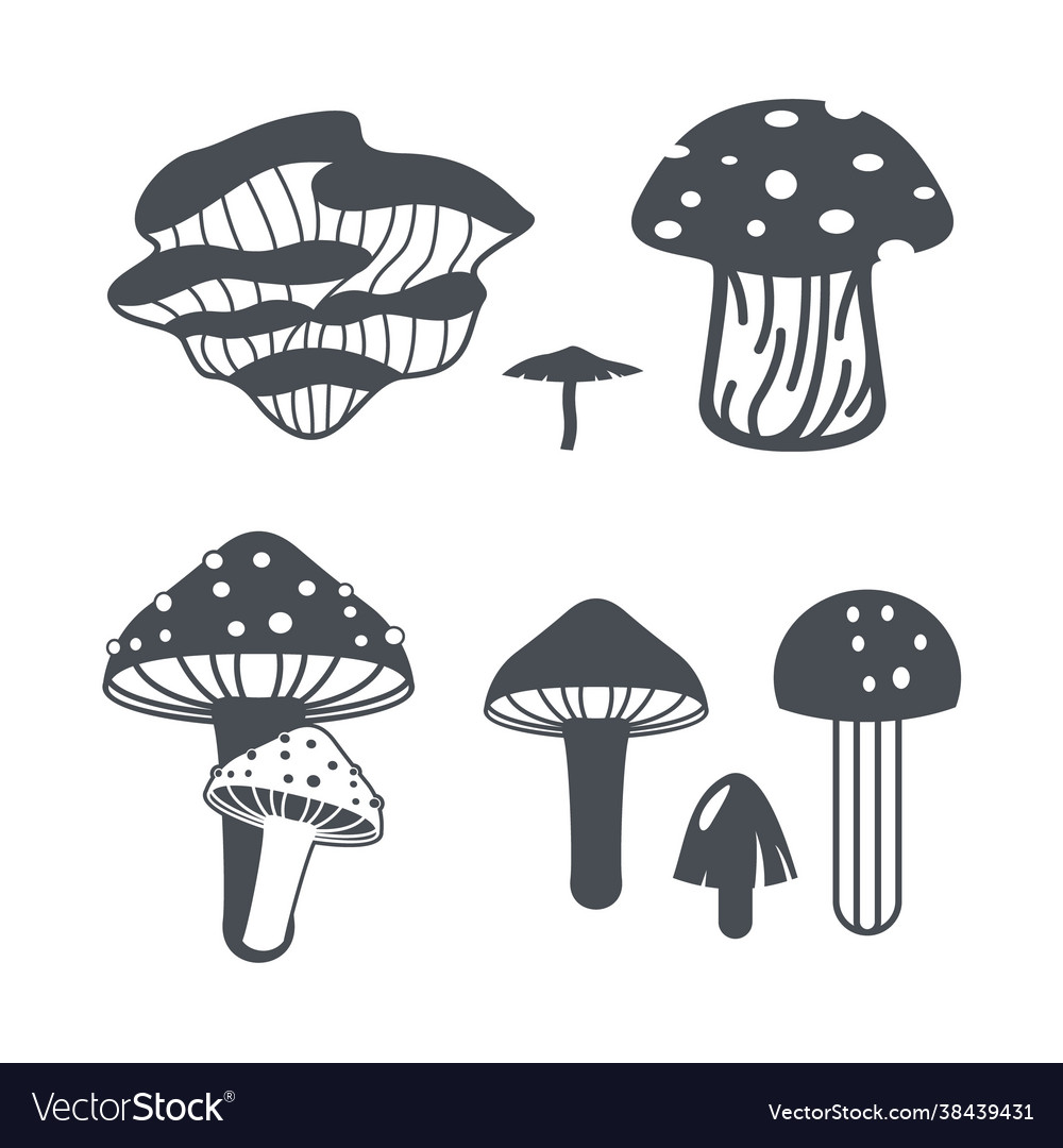 Mushroom