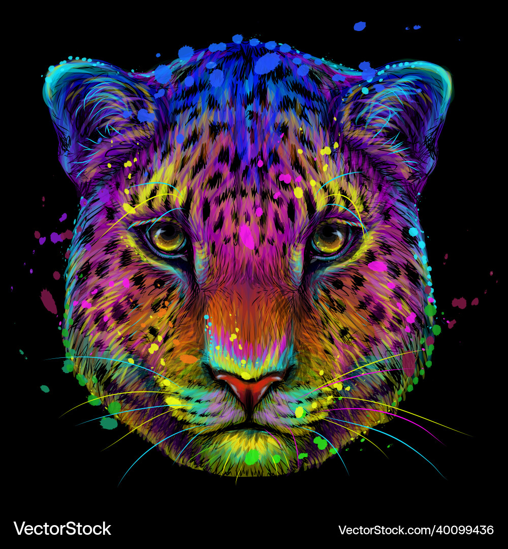 Abstract multicolored portrait of a jaguar Vector Image