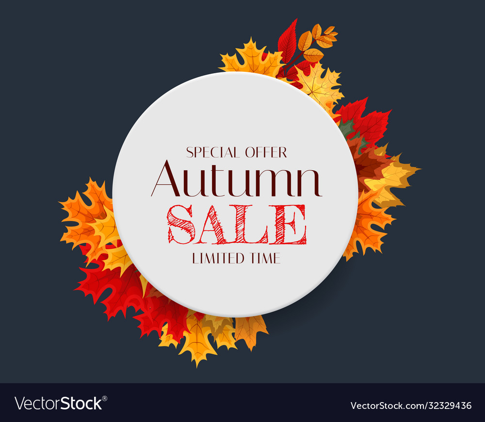 Autumn sale background template with leaves