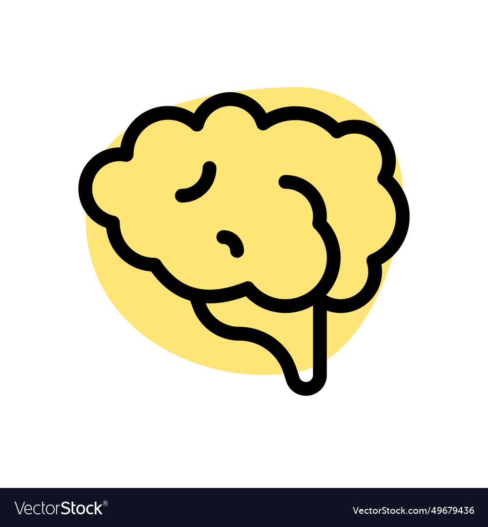 Brain one of the largest and most complex organs