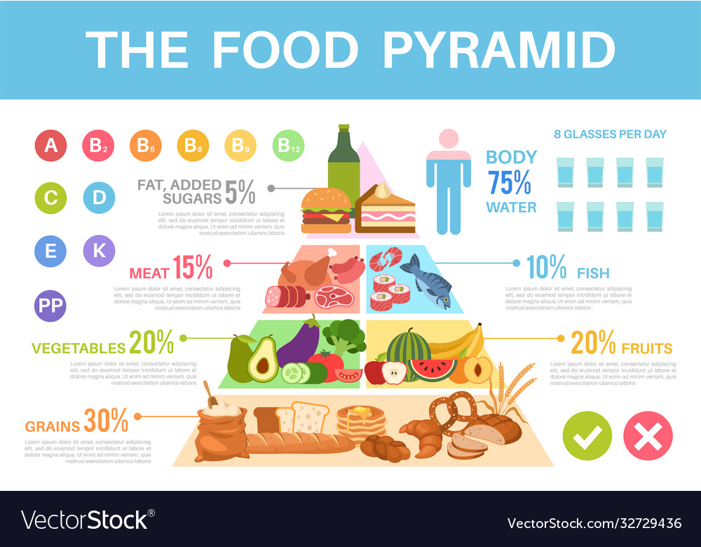 food-pyramid-nutritional-value-healthy-eating-vector-image