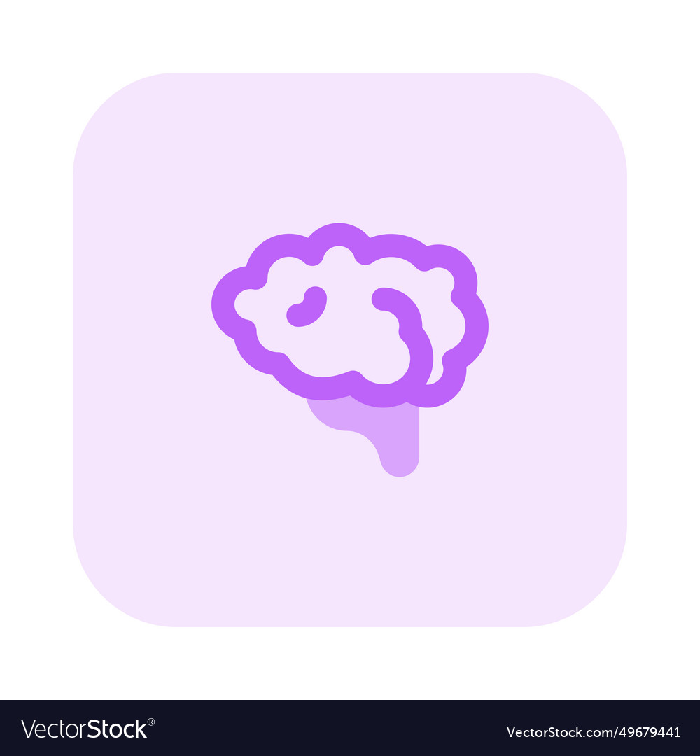 Brain one of the largest and most complex organs