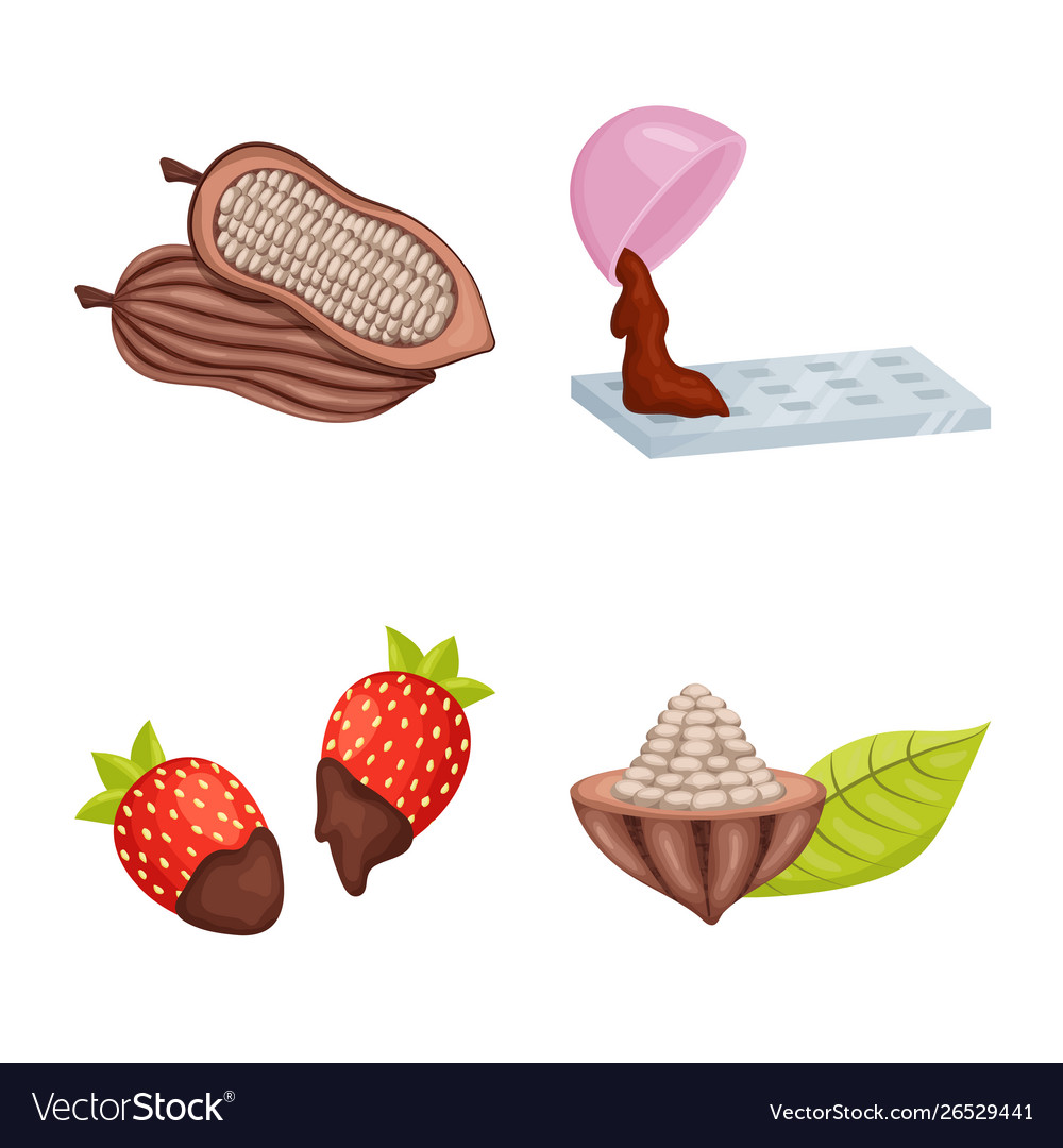 Design cocoa and beans icon collection