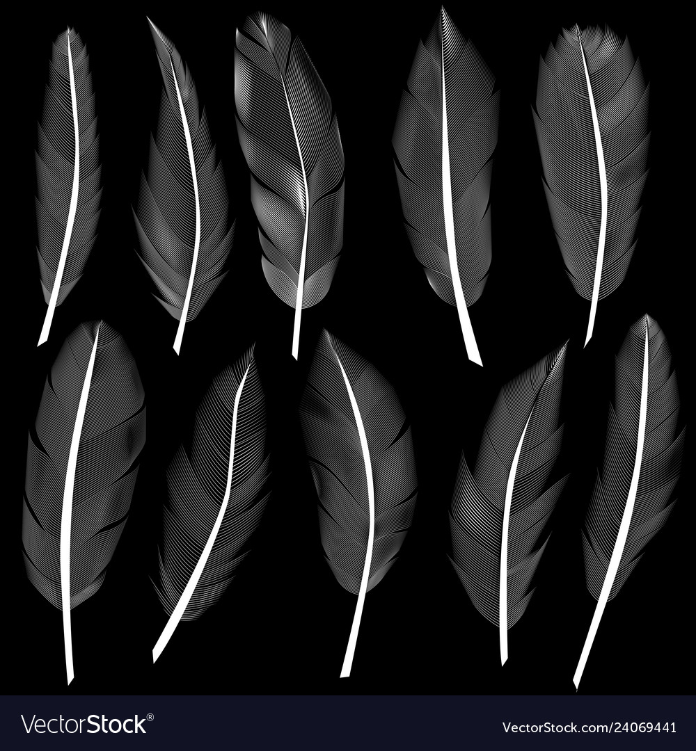 Set of feathers design