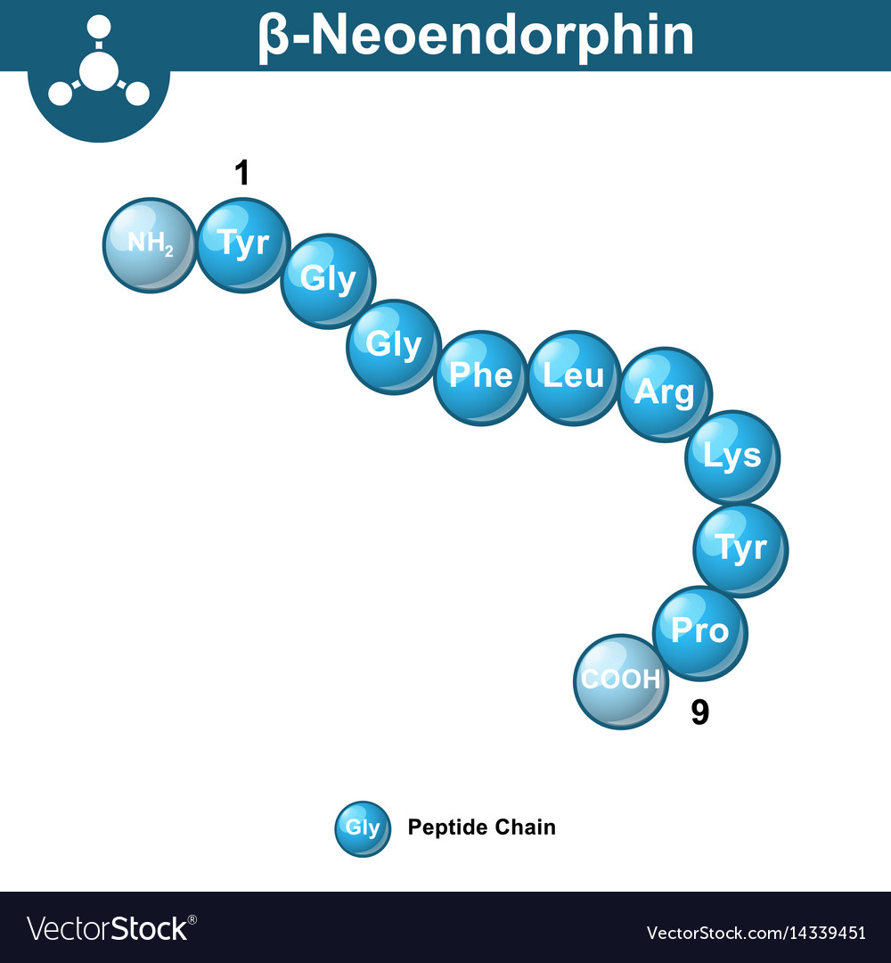 Beta neoendorphin molecular formula