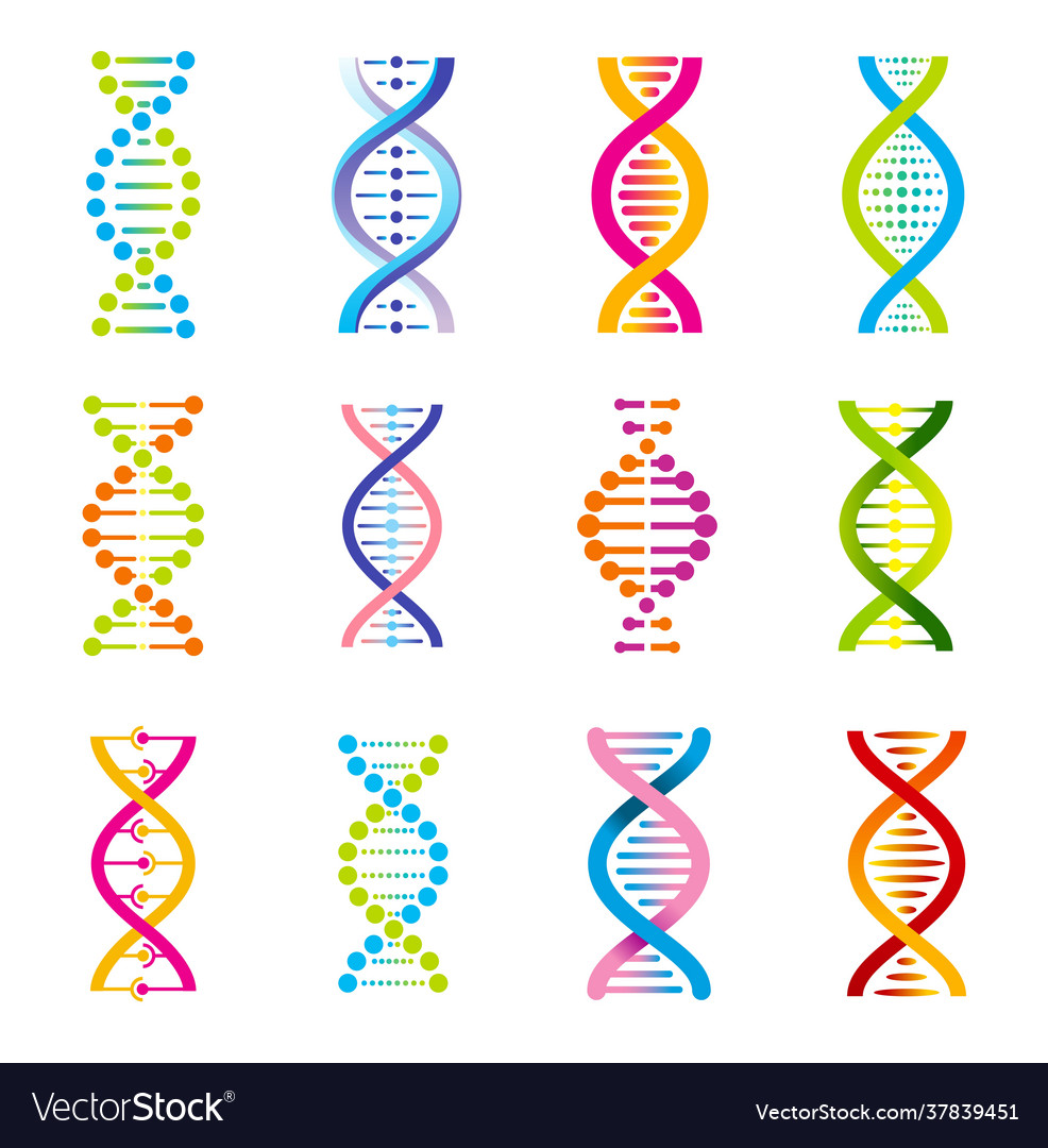 Dna helix icons genetics medicine Royalty Free Vector Image