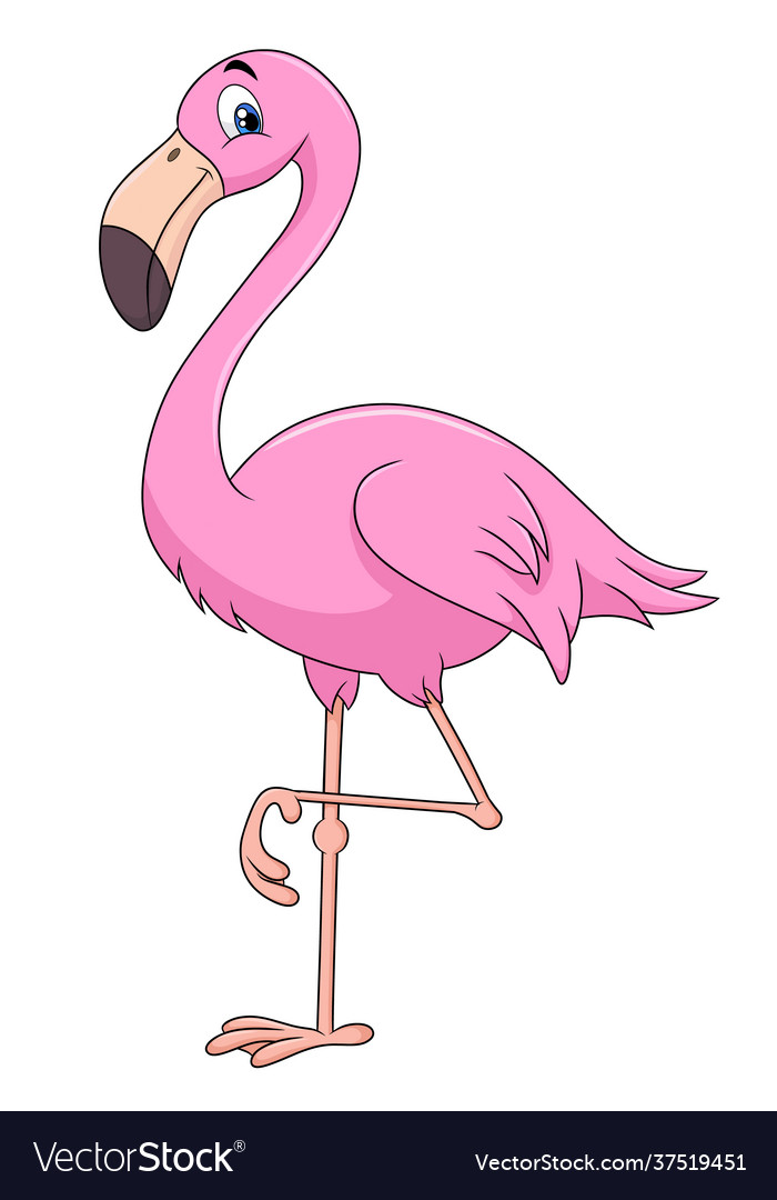 Flamingo Cartoon Royalty Free Vector Image Vectorstock