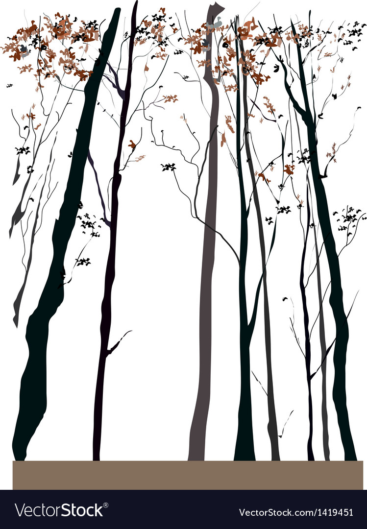 Tree forest background
