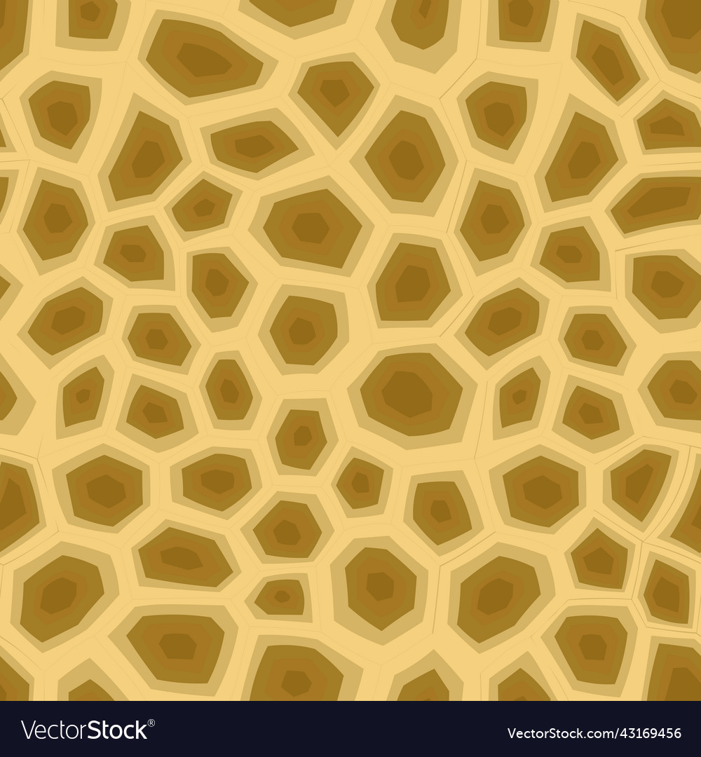 Abstract modern turtle shell seamless pattern vector image Abstract modern turtle shell seamless pattern