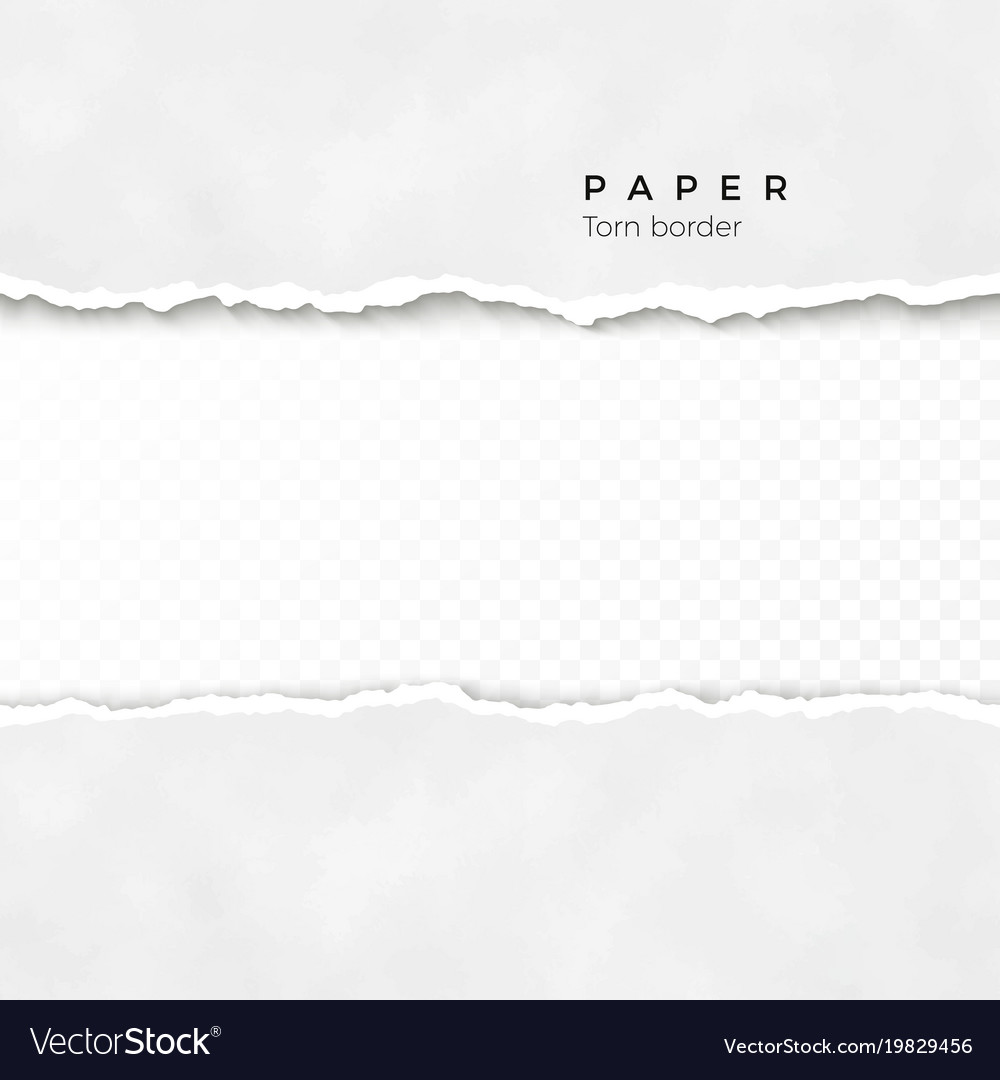 Horizontal Torn Paper Edge Paper Texture Rough Vector Image