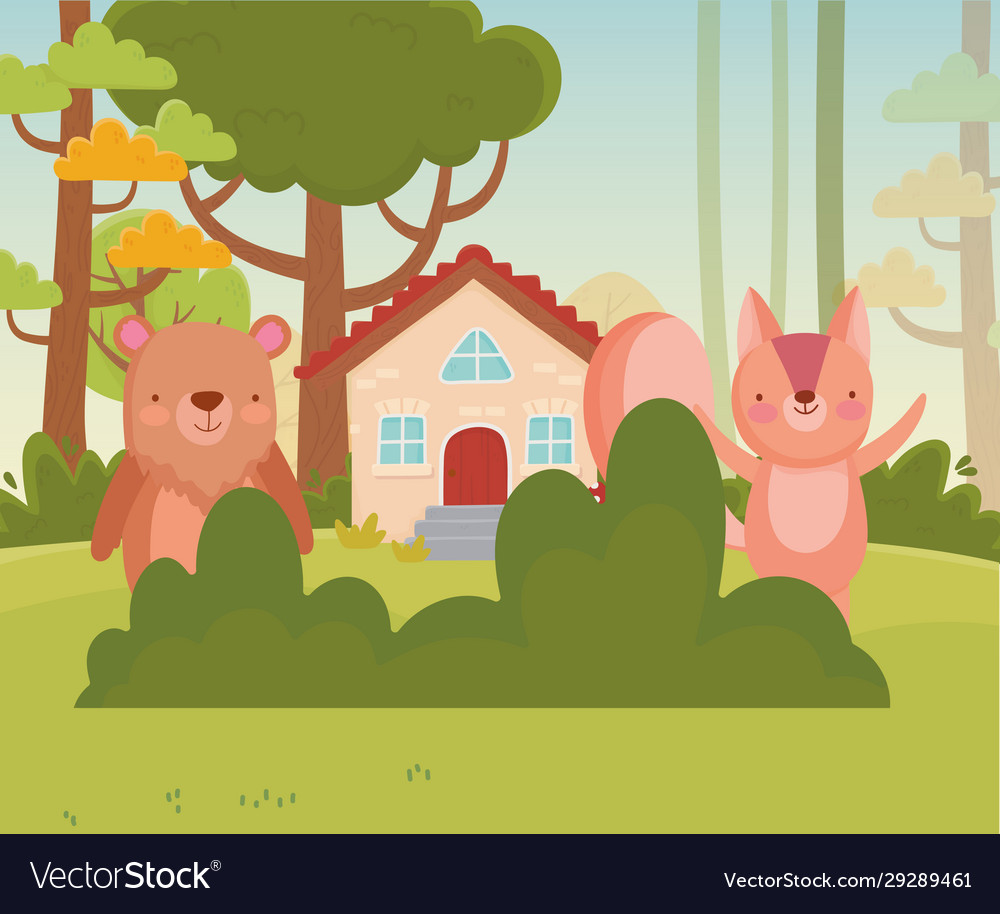 Cute squirrel and bear trees bush foliage nature