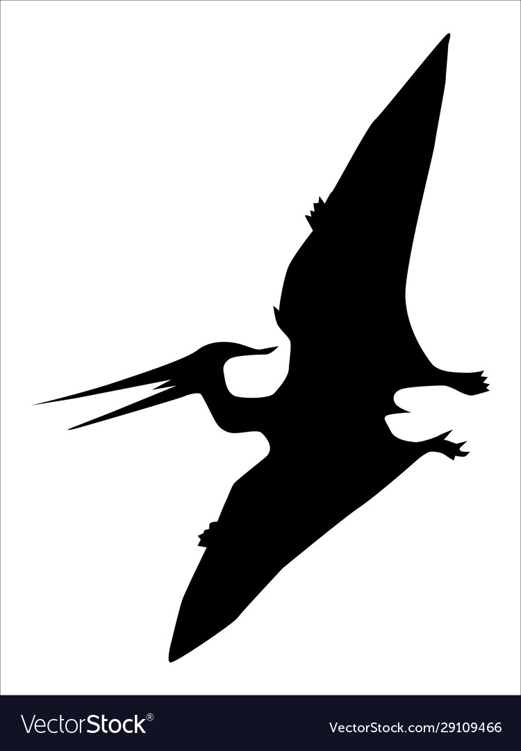 Pteranodon Isolated Flying Pterodactyl Sketch Stock Vector - Illustration  of vector, extinct: 168146560