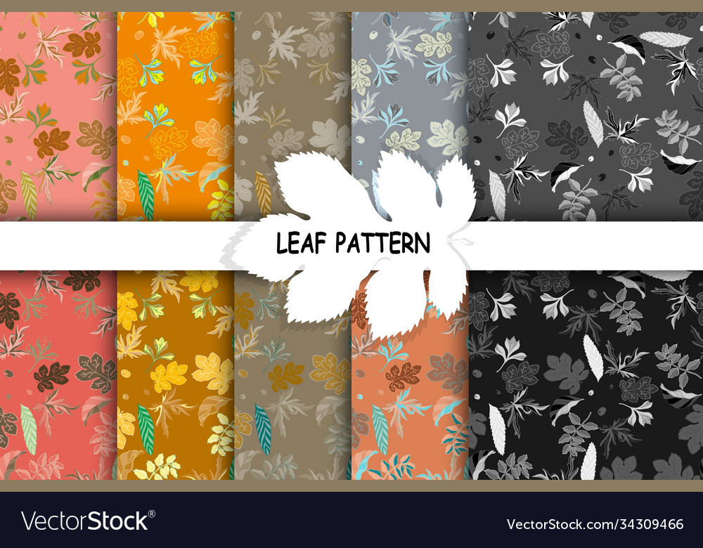 Set seamless patterns with leaves vector image Set seamless patterns with leaves