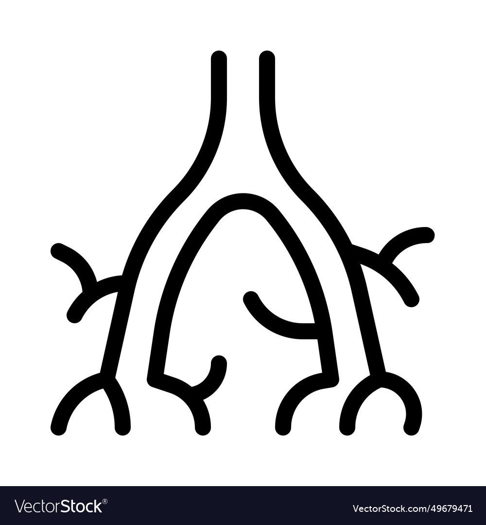 Bronchus is a passage or airway