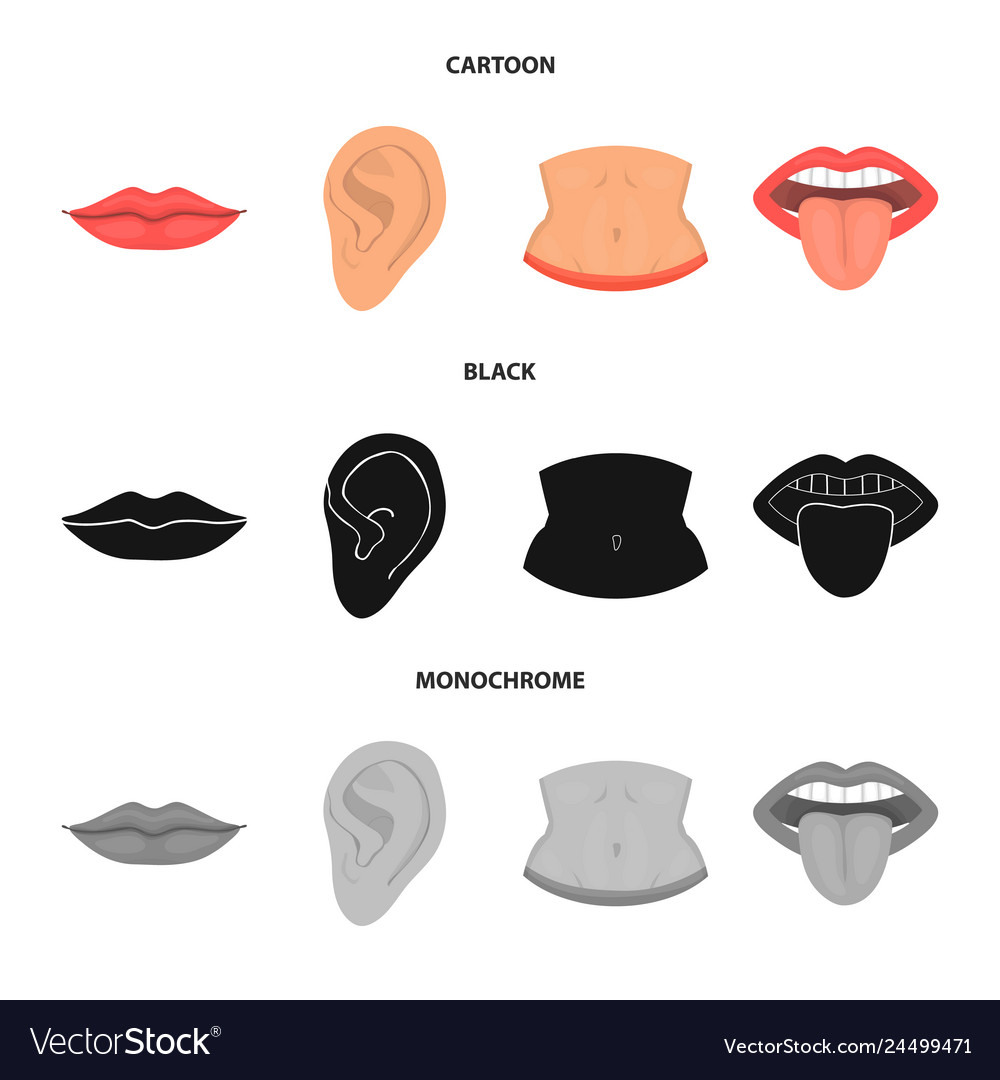 Isolated object of body and part logo set vector image Isolated object of body and part logo set
