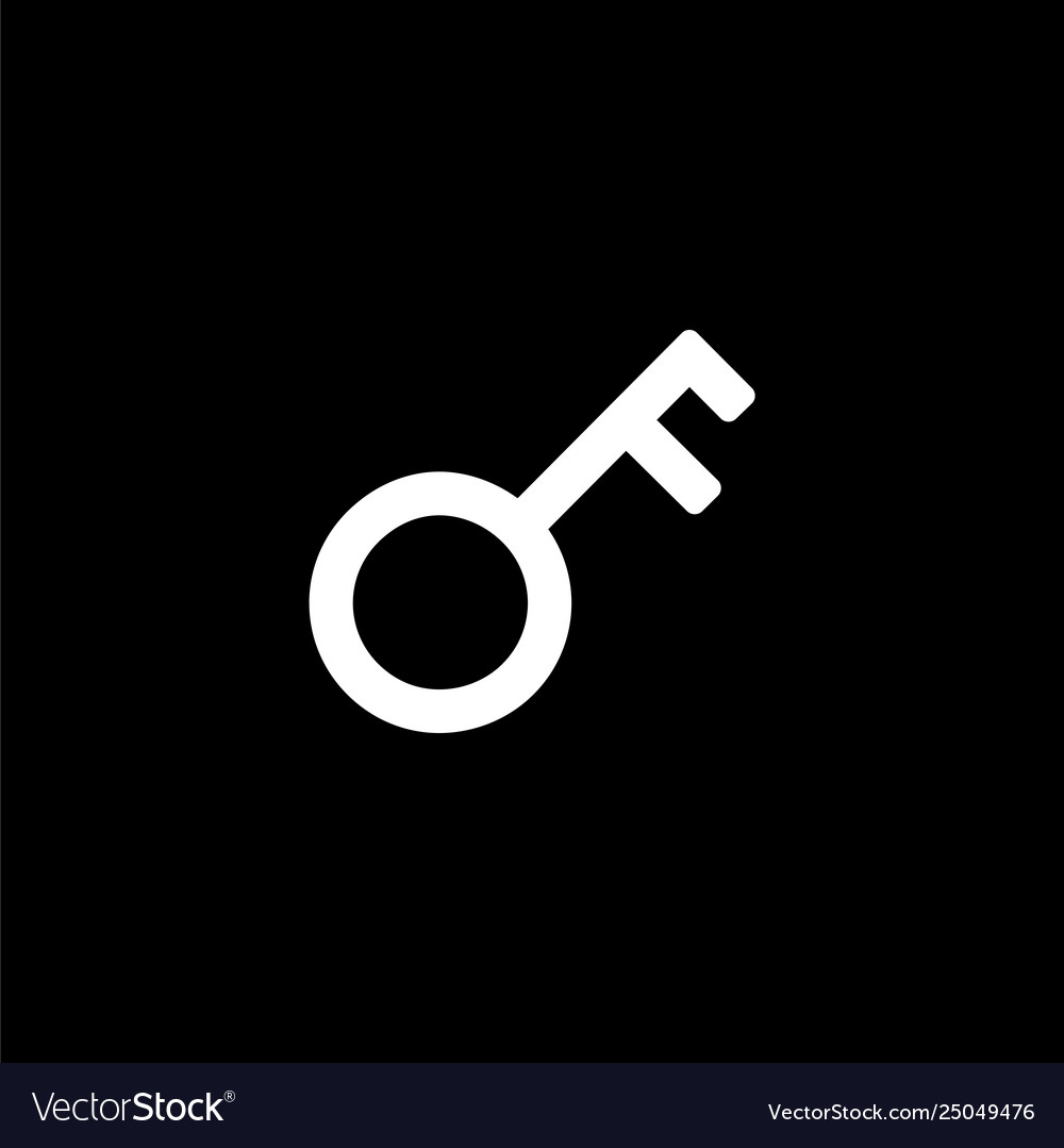 Key icon for simple flat style ui design