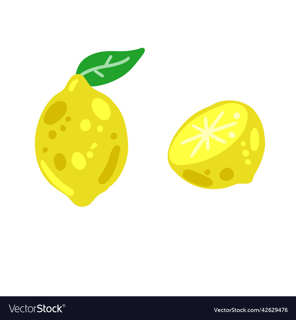 Lemon yellow sour fruit set of food