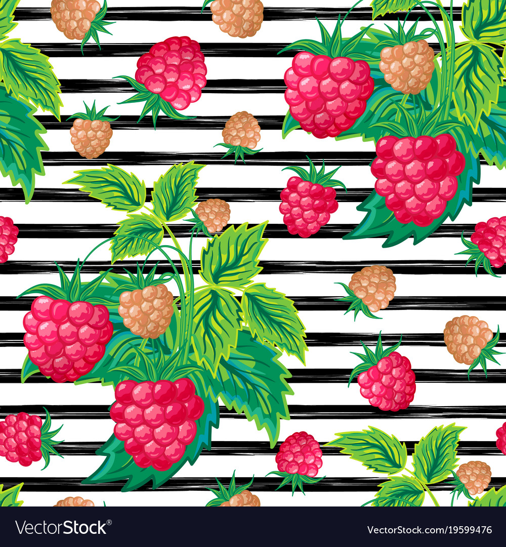 Raspberry Striped Pattern - Summer Vibes