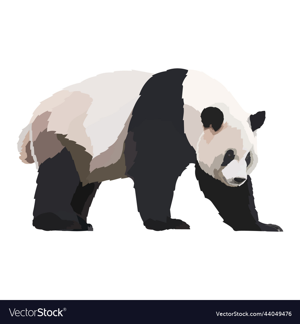 Realistic panda icon wild Royalty Free Vector Image