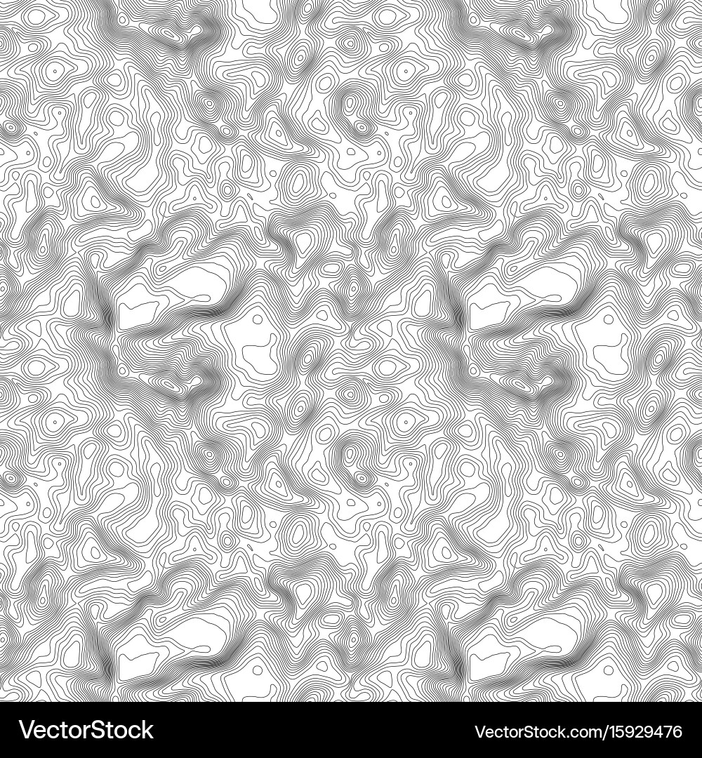 Seamless pattern topographic map background Vector Image