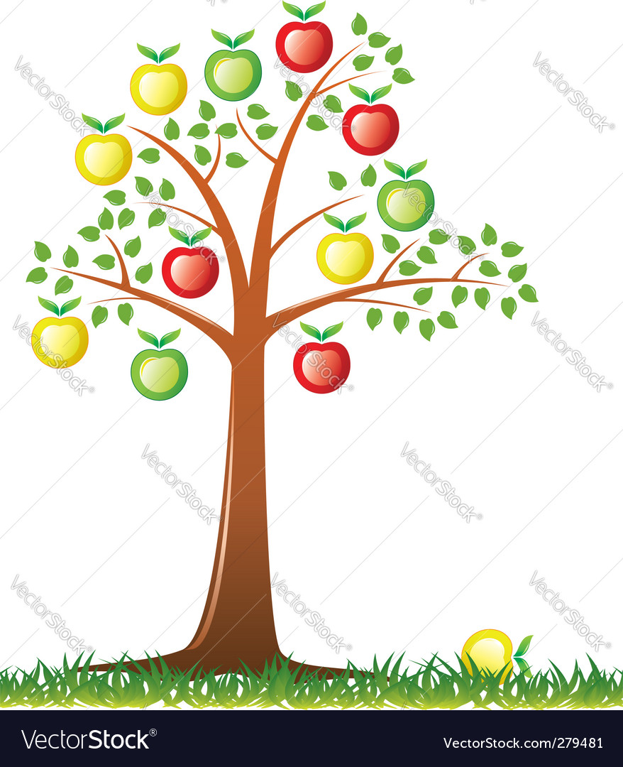 Download Apple tree Royalty Free Vector Image - VectorStock