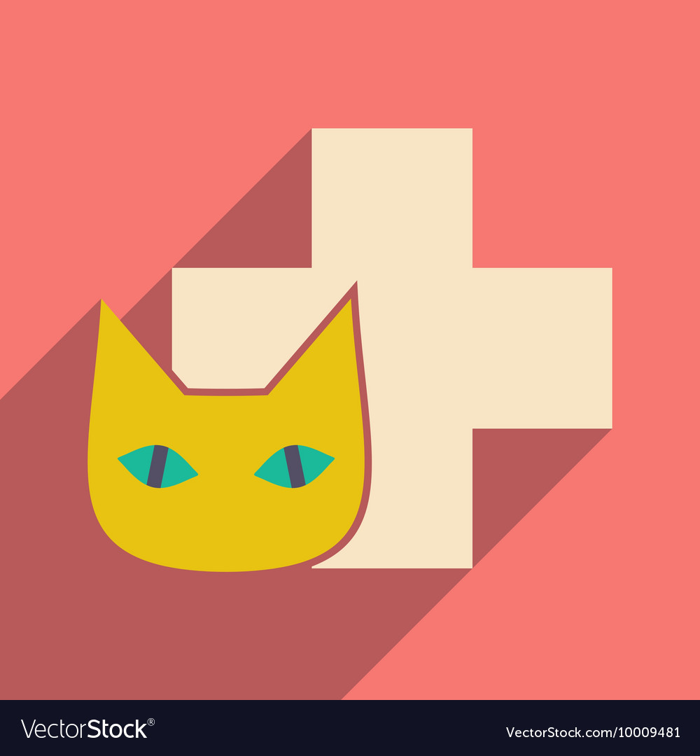 Flat with shadow icon and mobile application cat