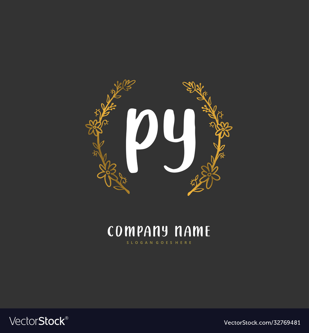 P y py initial handwriting and signature logo vector image P y py initial handwriting and signature logo