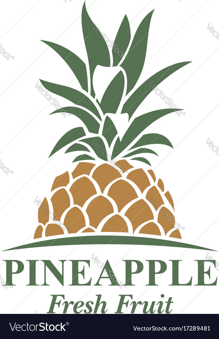 Pineapple fruit image Royalty Free Vector Image