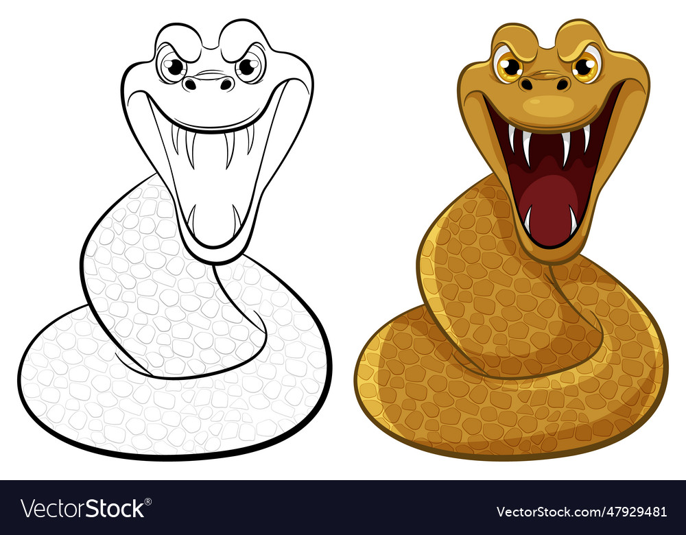 Snake ready to bite Royalty Free Vector Image - VectorStock