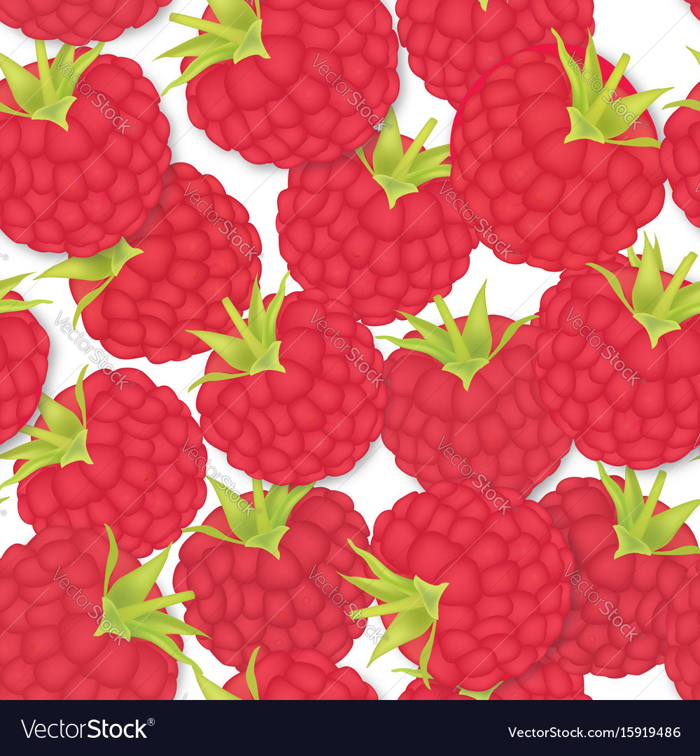 Berry pattern raspberry seamless background food