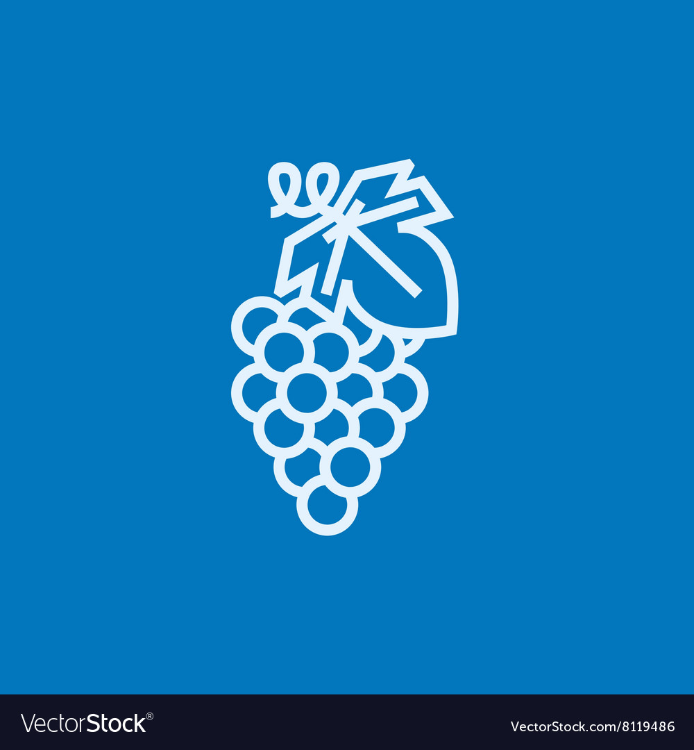 Grape line icon