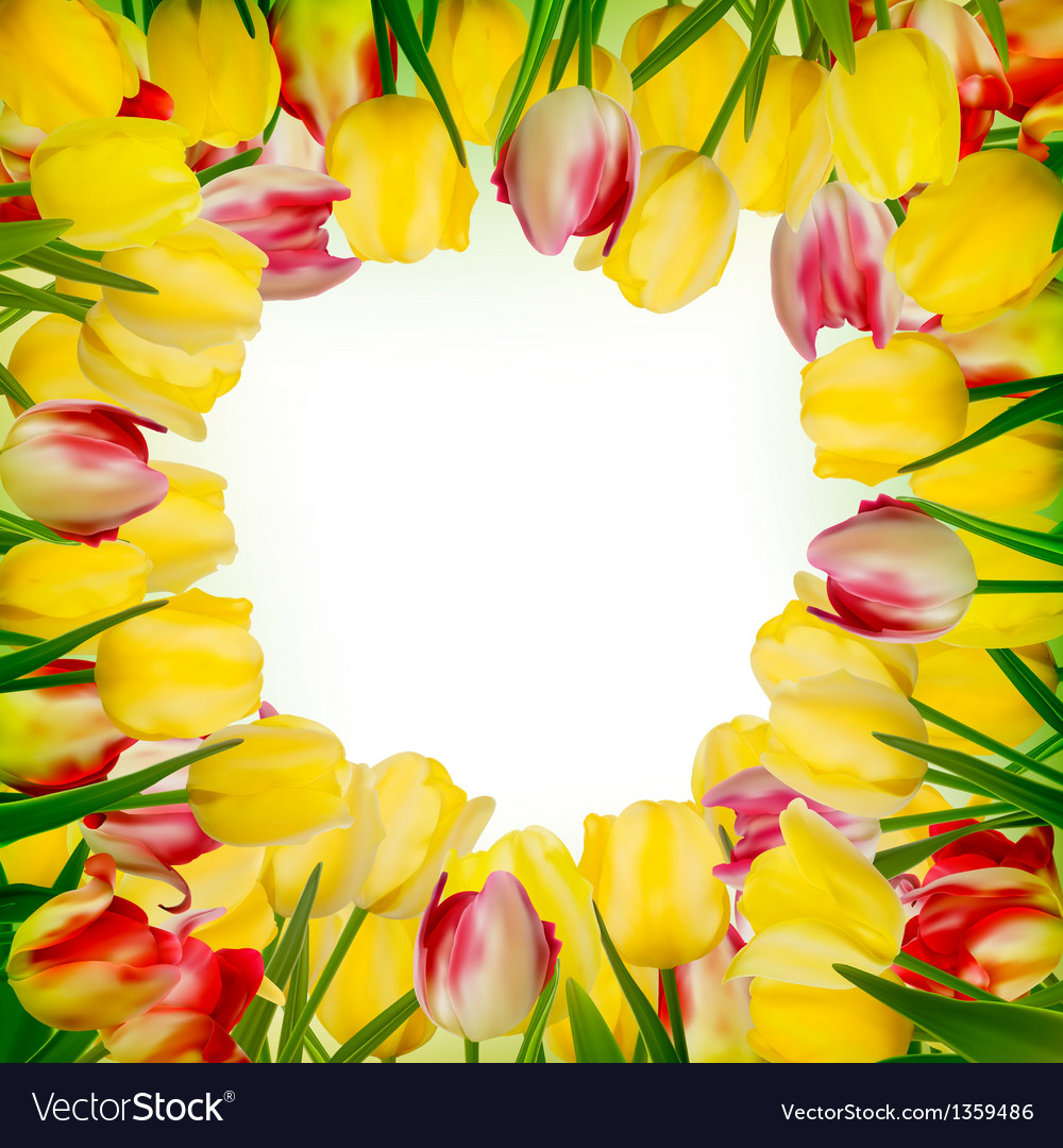 Greeting card with colorful flower eps 10 Vector Image