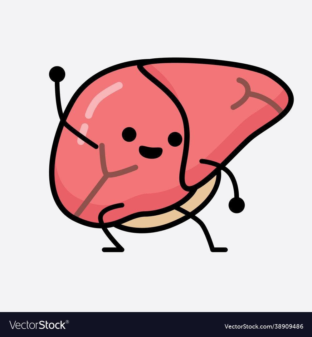 Liver character with cute face and simple body Vector Image