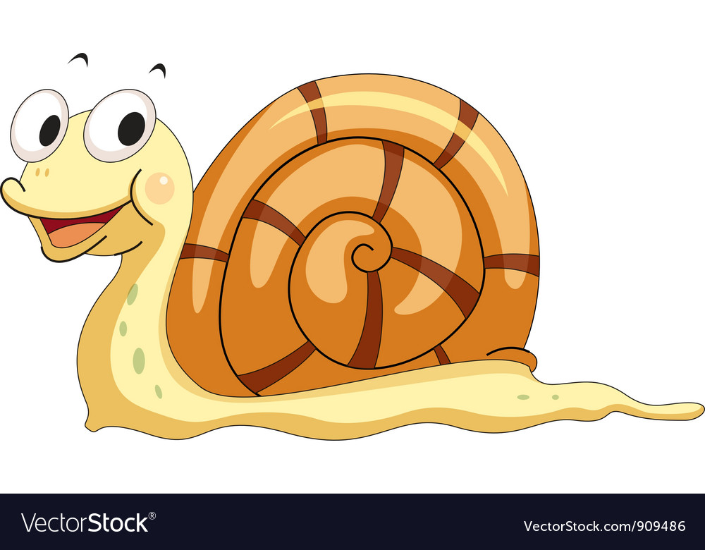 Snail Royalty Free Vector Image - VectorStock