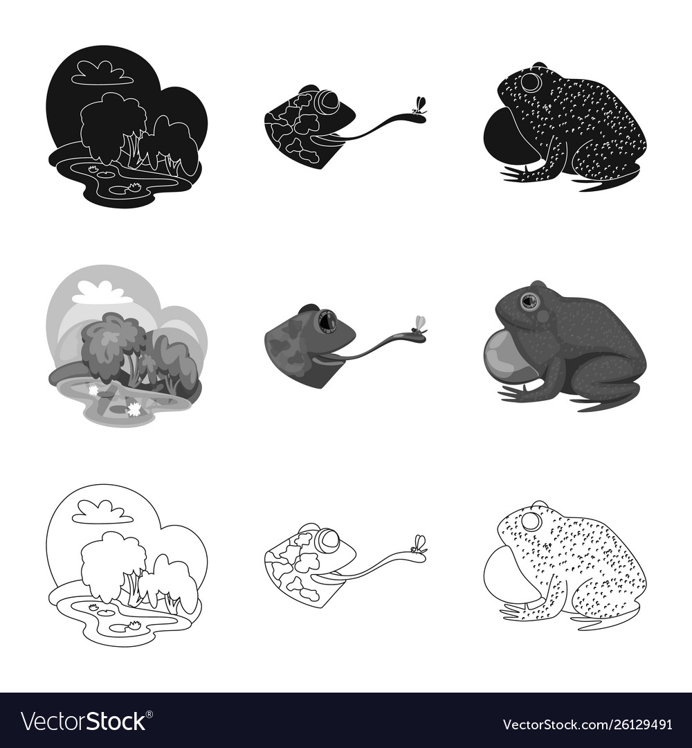 Isolated object wildlife and bog symbol set Vector Image Isolated object wildlife and bog symbol set