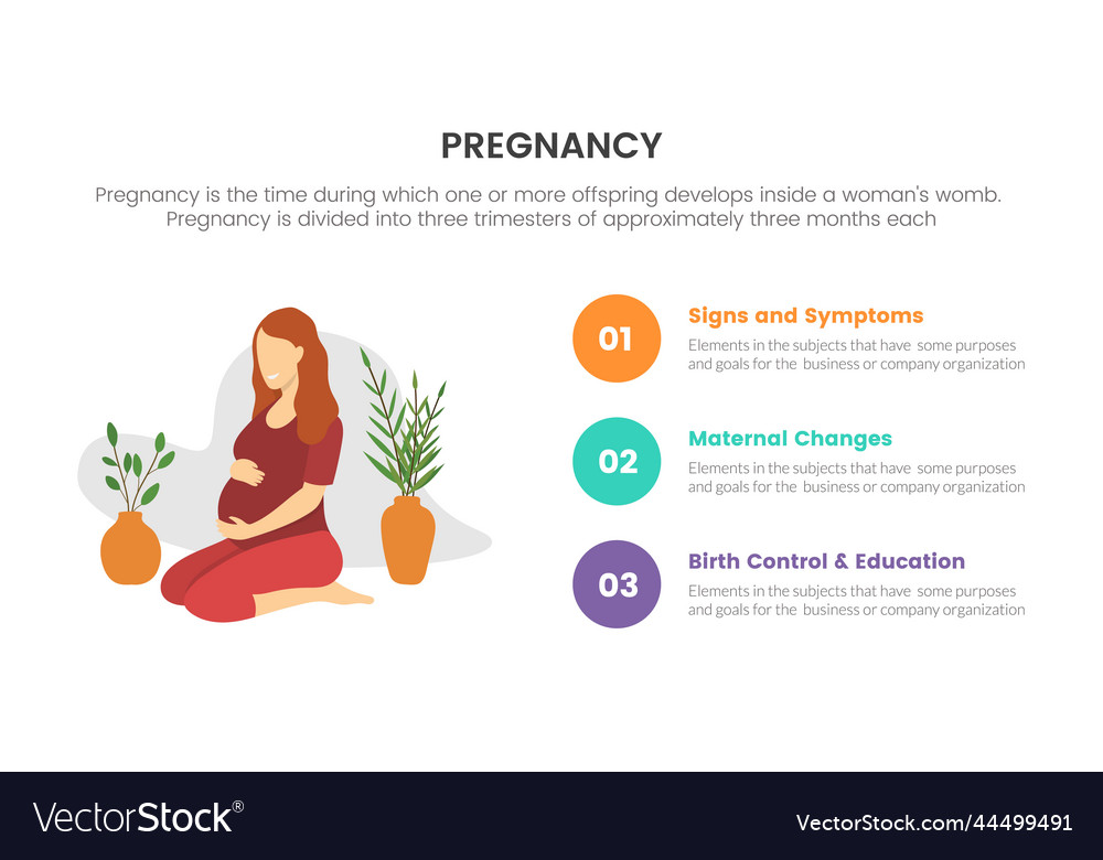 Pregnancy infographic concept for slide Royalty Free Vector