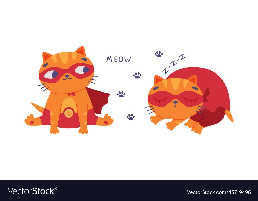 Cute red cat superhero funny kitten pet animal