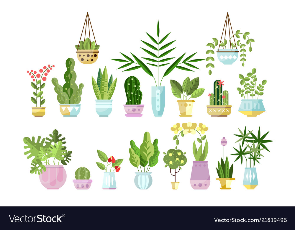 Set of flat style colorful houseplants in pots