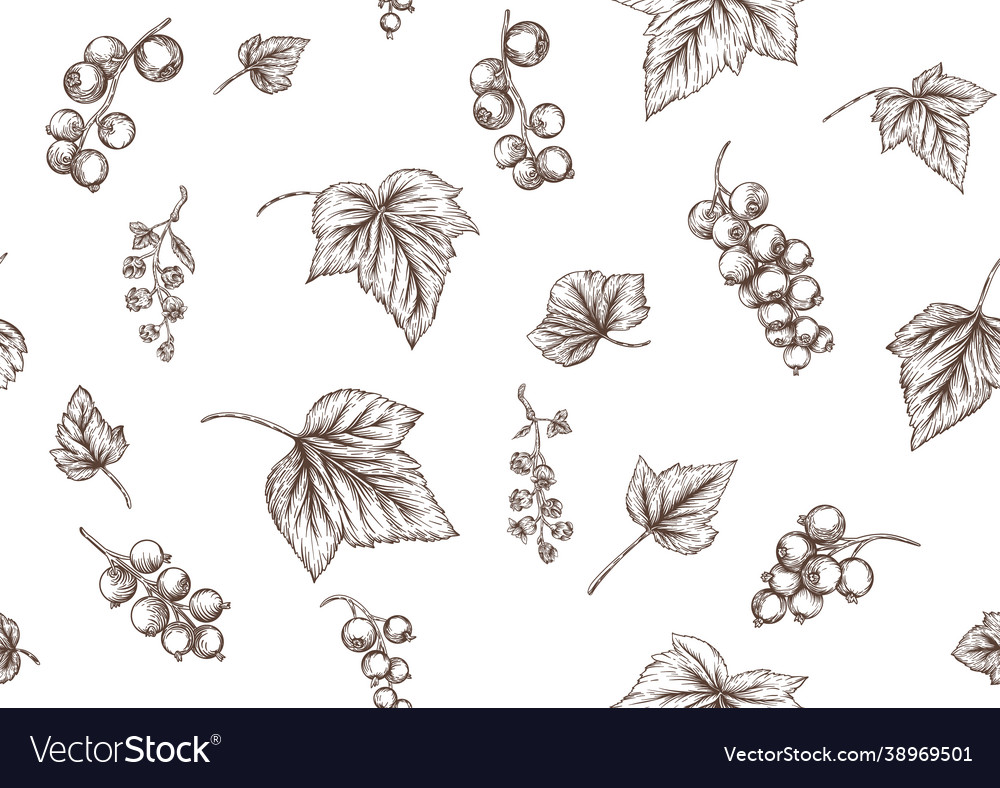 Schwarz Johannisbeeren rot Johannisbeeren nahtlos vector image Schwarz Johannisbeeren rot Johannisbeeren nahtlos