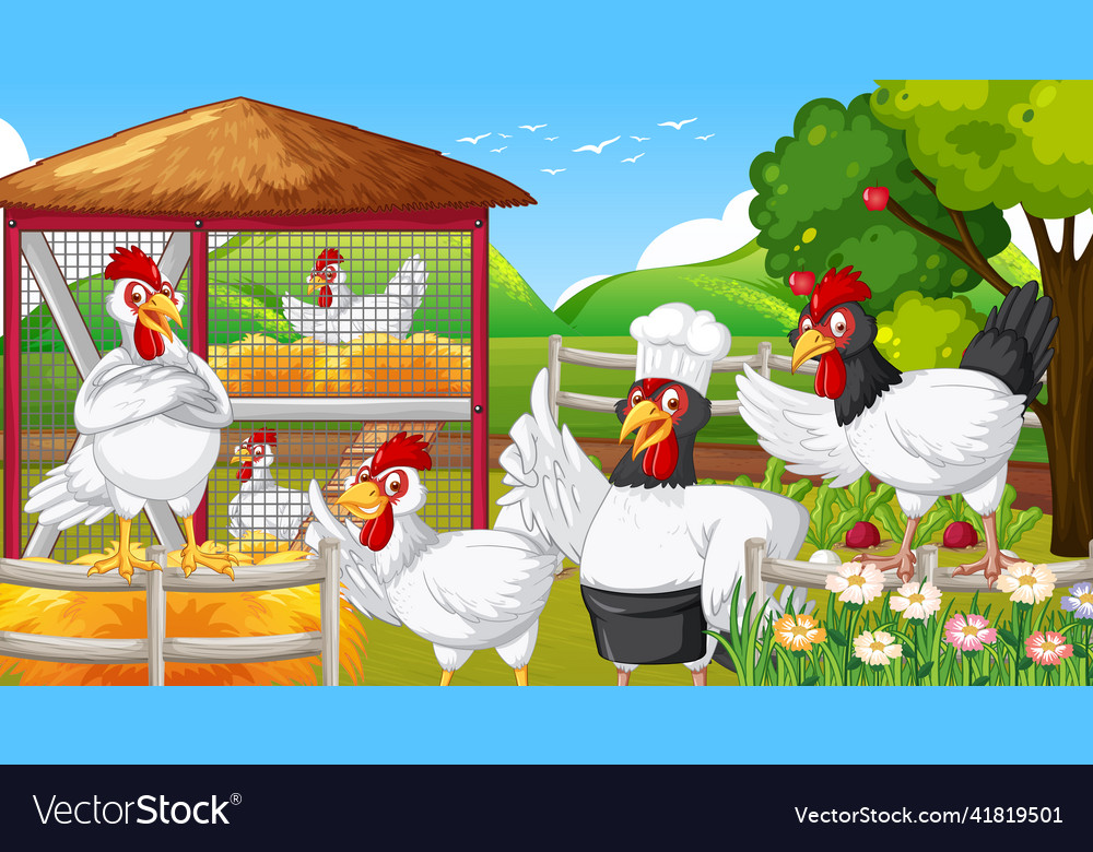 Chickens group cartoon character in farm scene Vector Image