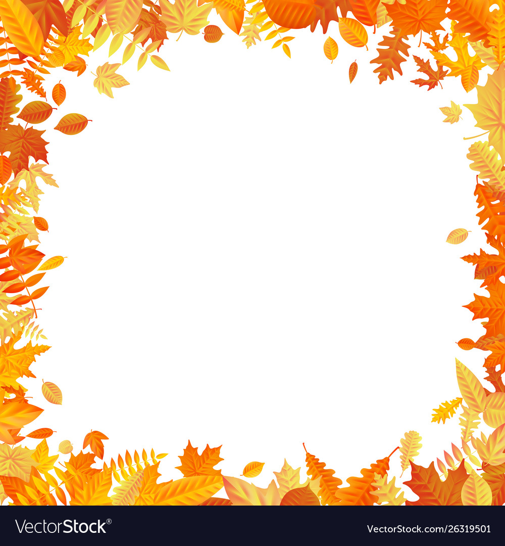 Frame with fall autumn colorful leaves on white Vector Image