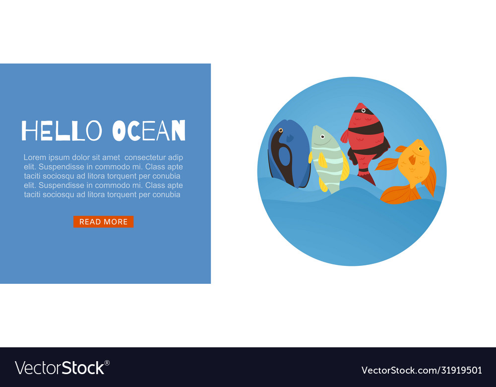 Tropical fish coral reef for travel agency web