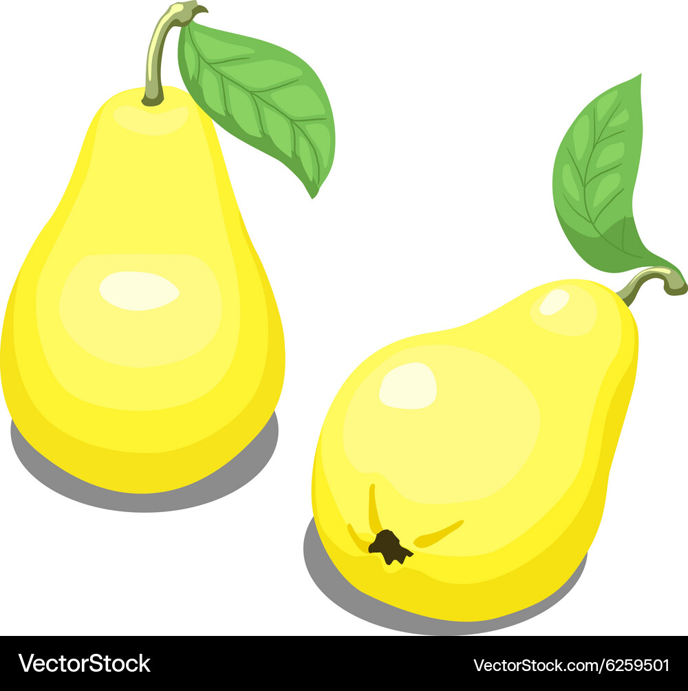 Yellow pear Royalty Free Vector Image - VectorStock