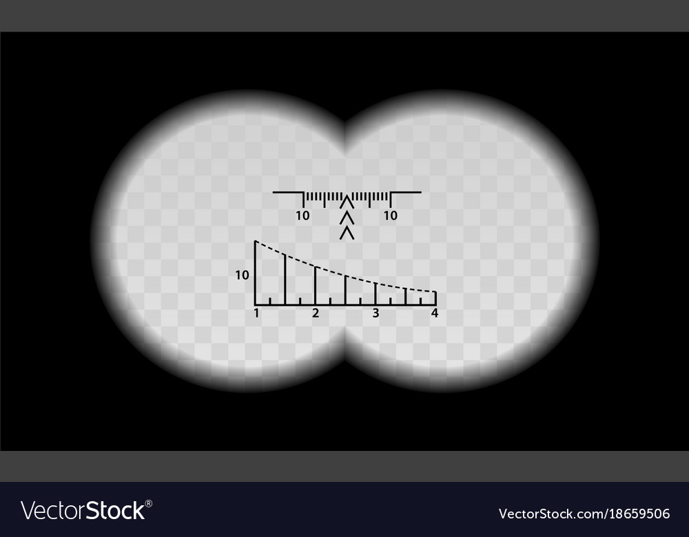 Binocular scale military view with optical sight