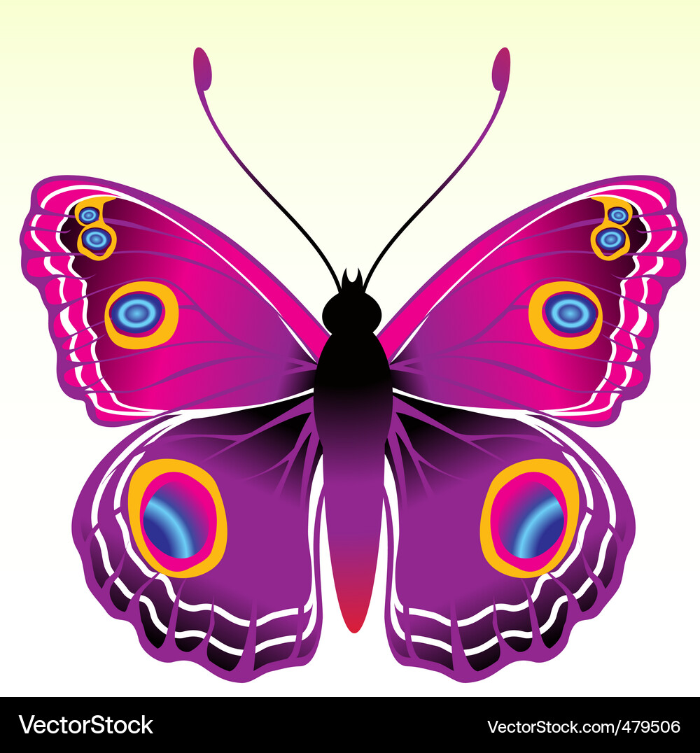 Butterfly Royalty Free Vector Image - VectorStock